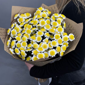 Букет "Моё солнышко" из 11 хризантем сантини  в Клину
