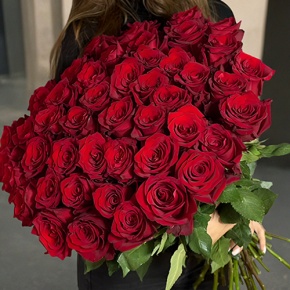 Букет 51 роза Эквадор Эксплорер (70 см) в Клину