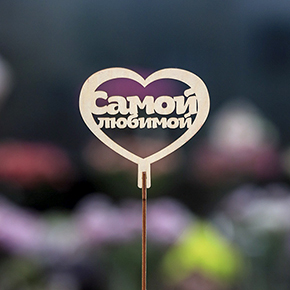 Топпер Самой Любимой в Клину