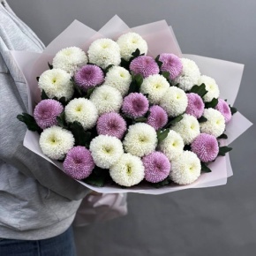 Букет из 31 хризантемы Момоко микс в Клину