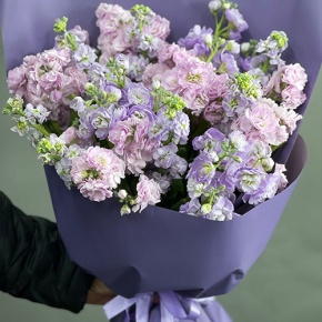 Букет из 15 ароматных маттиол микс в Клину