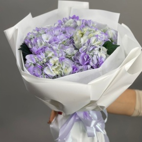 Букет из 5 фиолетовых гортензий в Клину