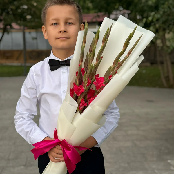 Букет на 1 сентября из 7 малиновых гладиолусов в Клину