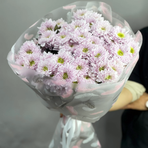 Букет "Нежный комплимент" из 9 кустовых хризантем в Клину