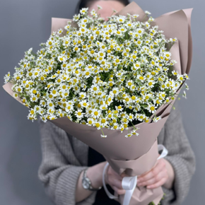 Букет из 17 полевых ромашек в Клину