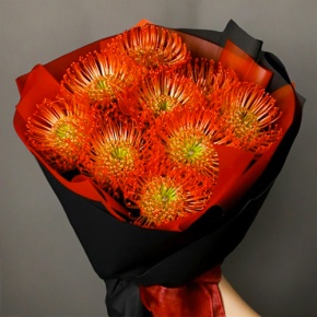 Букет из 9 лейко в Клину