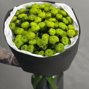 Стильный букет "Лайм" из 15 хризантем сантини в Клину