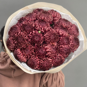 Букет 21 шоколадной хризантемы Бигоуди в Клину