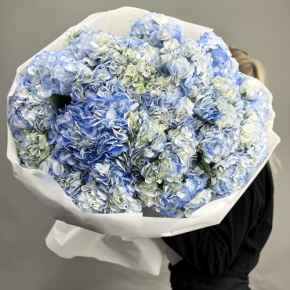 Букет из 23 синих гортензий в Клину