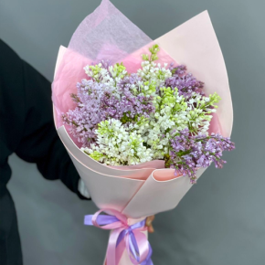 Букет из 11 веток сирени микс в Клину