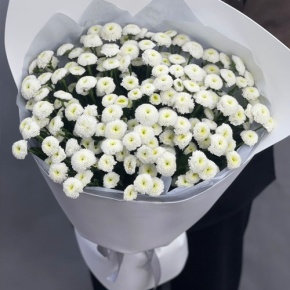 Букет "Белая дымка" из 25 хризантем сантини в Клину