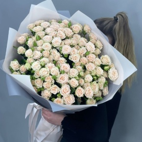 Букет из 25 кремовых кустовых роз (70 см) в Клину