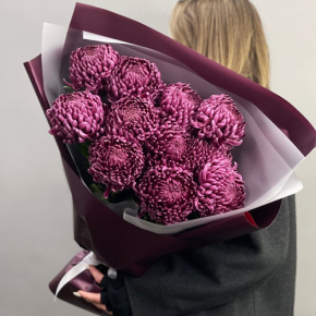 Букет "Изобилие" из 11 винных хризантем Бигоуди в Клину