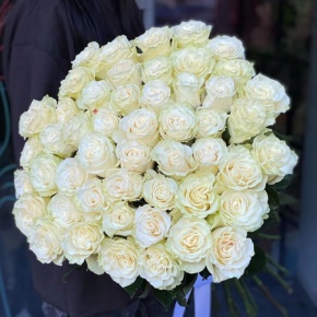 Букет из 51 розы Эквадор Мондиаль под ленту (80 см) в Клину