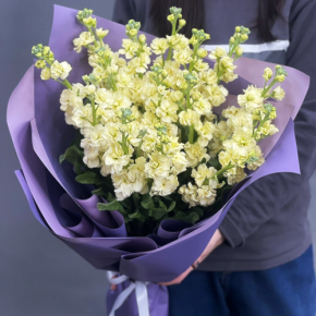 Букет из 15 лимонных маттиол в Клину