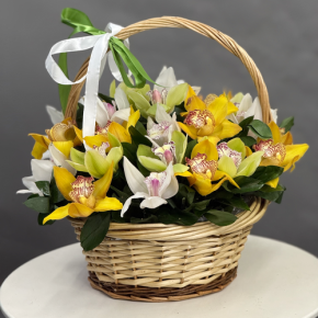 Композиция в корзине из 25 орхидей микс в Клину