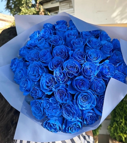 Букет из 51 синей розы Эквадор (60 см) в Клину