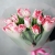 Букет "Фламинго" из 11 пионовидных тюльпанов в Клину