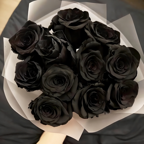 Букет "Черная королева" из 11 черных роз Эквадор (60 см) в Клину