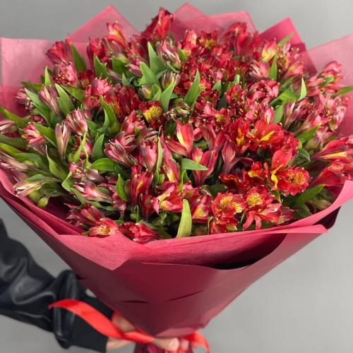 Монобукет из 25 красных альстромерий в Клину