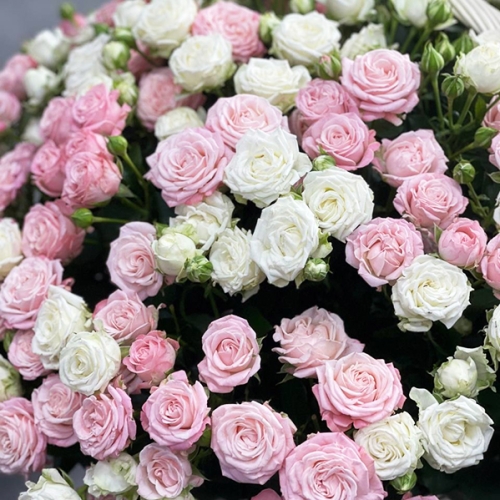 Композиция в корзине из 101 кустовой пионовидной розы в Клину