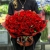 Букет 101 красная Кенийская роза (40 см) в Клину