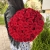 Букет 51 красной розы 50 см в Клину