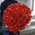 Букет 101 коралловая роза (60 см) в Клину