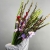 Букет из 25 гладиолусов микс в Клину