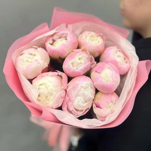 Букет из 9 нежных пионов Гардения в Клину