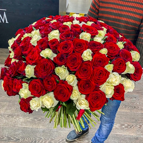 Букет 151 роза красный и белый микс (60 см) в Клину