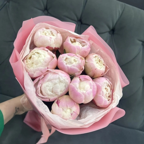 Букет из 9 нежных пионов Гардения в Клину