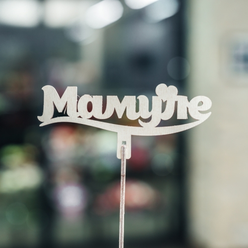 Топпер Мамуле в Клину