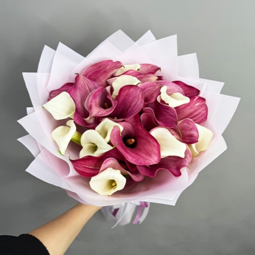 Букет из 25 нежных калл в Клину