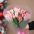 Букет "Фламинго" из 11 пионовидных тюльпанов в Клину