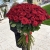 Букет из 101 красной розы (90 см) в Клину