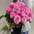 Букет из 25 пионовидных роз Эквадор (60 см) в Клину Букет из 25 пионовидных роз Эквадор (60 см) в Клину