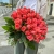 Букет 51 роза коралл (60 см) в Клину