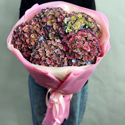 Букет из 5 космических Голландских гортензий в Клину