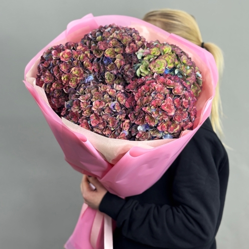 Букет из 5 космических Голландских гортензий в Клину